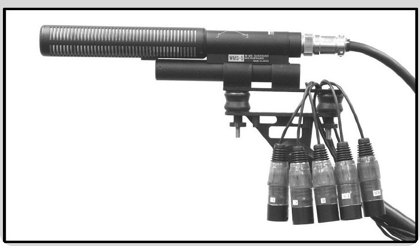 Gun Mic